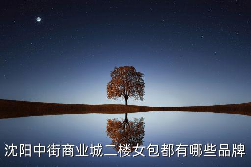 中街商業(yè)城都有什么品牌，沈陽中街商業(yè)城二樓女包都有哪些品牌