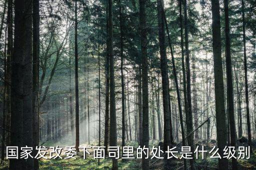 央企處長是什么級別，央企比如移動 電信 聯(lián)通 中石油石化 這些企業(yè)縣的老總是什么級別