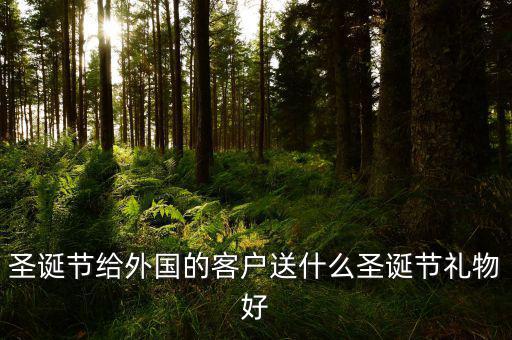 中國出口什么圣誕節(jié)禮物，在中國過圣誕節(jié)一般送什么禮物