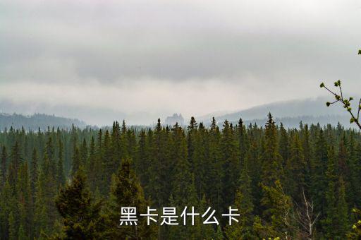 銀行卡黑卡是什么級別，黑卡是什么卡