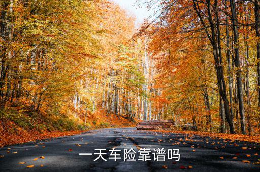 一天車險是什么，一天車險怎么停駛才有錢
