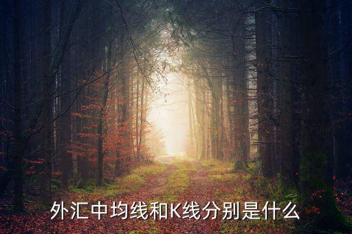 什么叫k線，外匯中均線和K線分別是什么
