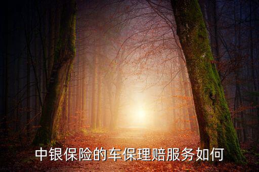 中銀保險(xiǎn)車險(xiǎn)vip客戶有什么權(quán)利，中銀保險(xiǎn)的車保理賠服務(wù)如何