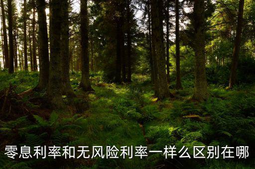 即期利率是什么，定期的利息和國期的利息是什么