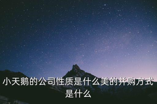 天鵝有什么并購案，小天鵝 合并的品牌