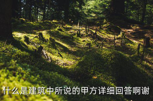 為什么說mint是甲方，MINTS DOUBLEMINT是什么意思