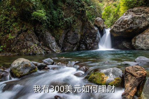 美元升值做什么理財(cái)，原創(chuàng)美元拼命升值到底要干什么