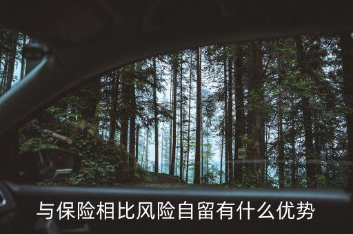 什么是風險自留，股票里有個自留的專業(yè)用語是什么意思