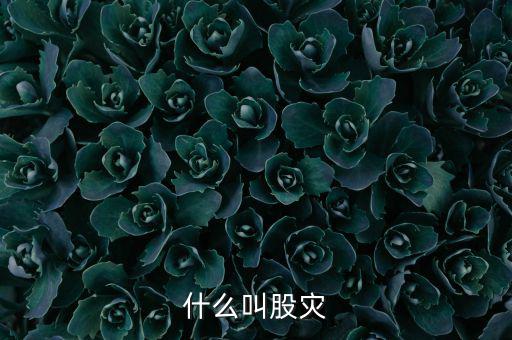 股災逃脫人叫什么，做了壞事倉皇而逃的人叫什么