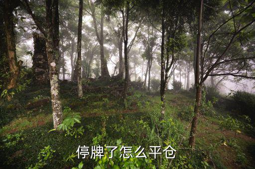 股票黑名單什么意思，股票配售黑名單是什么意思