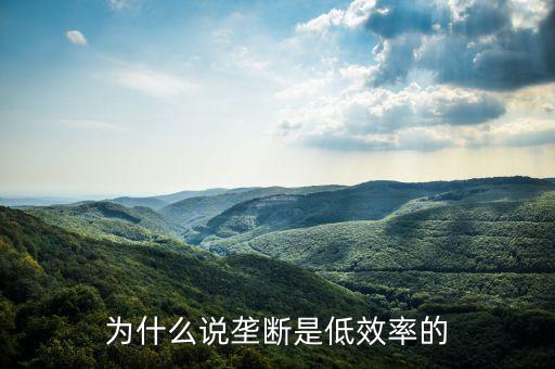 壟斷的無效率是什么，為什么說壟斷會(huì)導(dǎo)致低效率