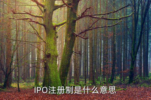ipo注冊(cè)制是什么意思，IPO注冊(cè)制是什么意思和審批制有什么區(qū)別