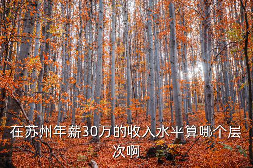 年薪三十萬元處于什么階層，在蘇州年薪30萬的收入水平算哪個層次啊