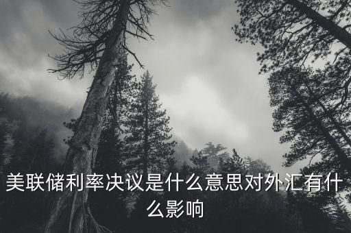 美聯(lián)儲利率決議是什么意思對外匯有什么影響