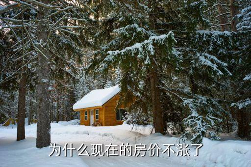 為什么房價(jià)漲不了了，為什么現(xiàn)在的房價(jià)不漲了