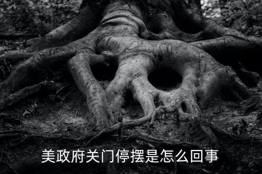 為什么美國政府關(guān)門，美國國會為什么關(guān)門