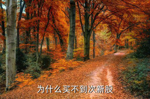為什么次新股不能買，為什么買不到次新股