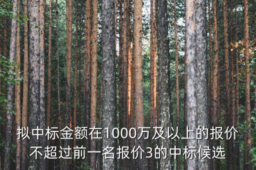 擬中標(biāo)金額在1000萬及以上的報(bào)價不超過前一名報(bào)價3的中標(biāo)候選