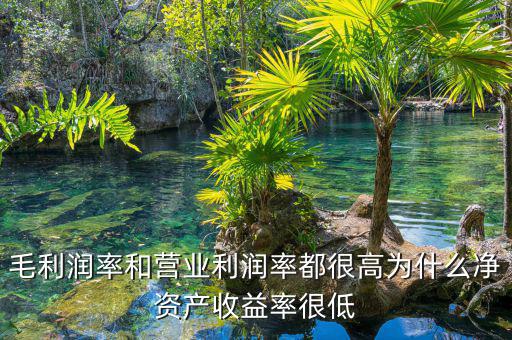 資產(chǎn)凈利率較低是為什么，為什么利潤率高資產(chǎn)收益率卻低