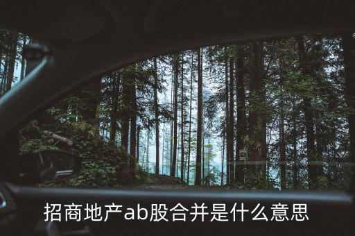 招商地產ab股合并是什么意思
