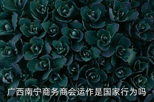 南寧什么時候打擊傳銷，廣西南寧有傳銷嗎