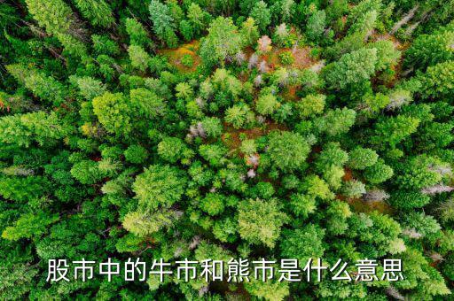 熊市的意思是什么，股市中的牛市和熊市是什么意思