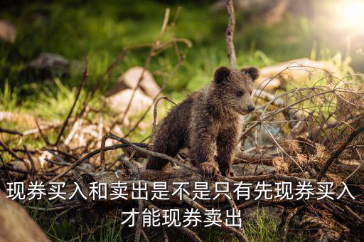 成交回報是什么，什么叫回報