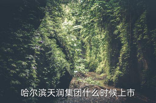 天潤乳業(yè)什么時候上市，哈爾濱天潤集團什么時候上市