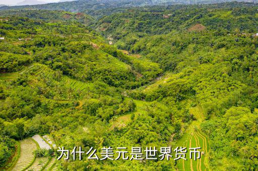 美元為什么是世界貨幣，為什么美元是世界貨幣