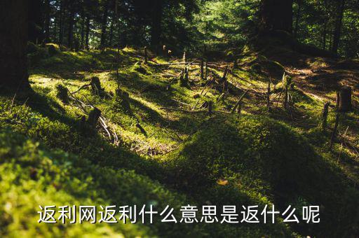 返傭網(wǎng)是什么意思，返傭網(wǎng)大概是什么意思
