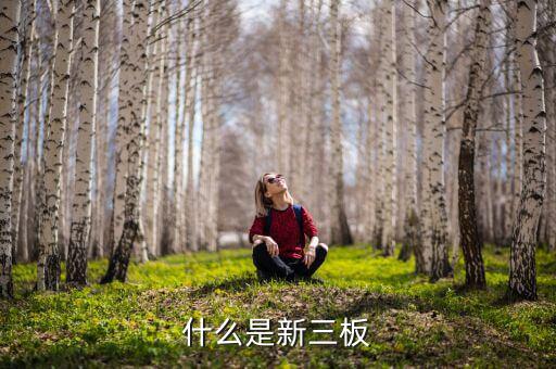 股票發(fā)行新三版是什么版塊，什么是新三板