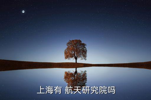  上海有 航天研究院嗎
