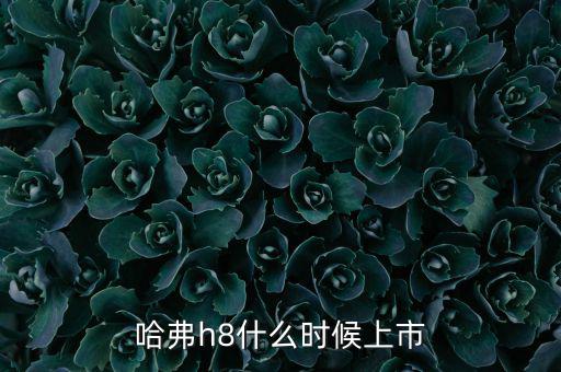 哈佛h8什么時候上市的，哈弗h8什么時候上市