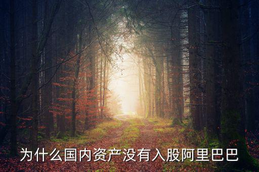 當(dāng)初為什么沒投阿里巴巴，為什么國內(nèi)資產(chǎn)沒有入股阿里巴巴