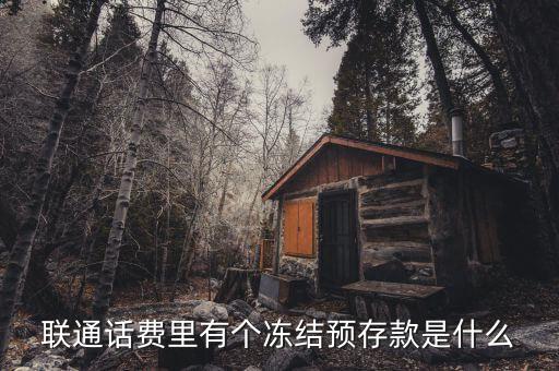 凍結(jié)預(yù)存款是什么意思，聯(lián)通話費(fèi)里有個(gè)凍結(jié)預(yù)存款是什么