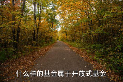開放式基金是什么，什么叫做開放式基金