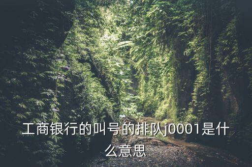 工商銀行的叫號的排隊(duì)j0001是什么意思