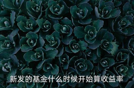 新發(fā)的基金什么時(shí)候開始算收益率