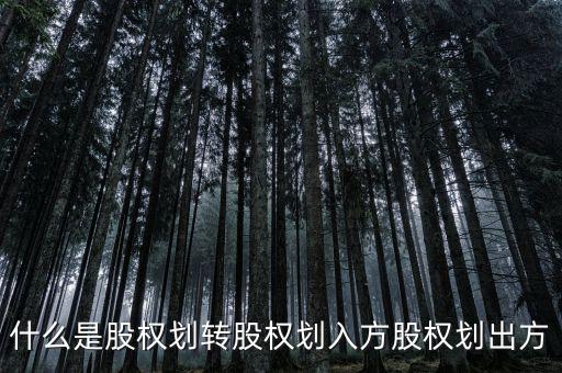 劃轉(zhuǎn)是什么意思，什么是股權(quán)劃轉(zhuǎn)股權(quán)劃入方股權(quán)劃出方