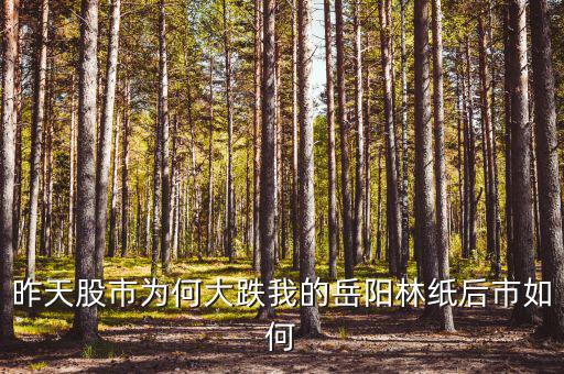 岳陽林紙為什么停牌，誰能告訴我這是怎么回事是停牌了嗎
