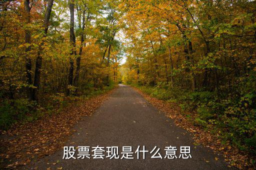 股票套現(xiàn)什么意思，股票當(dāng)中的套現(xiàn)是什么意思