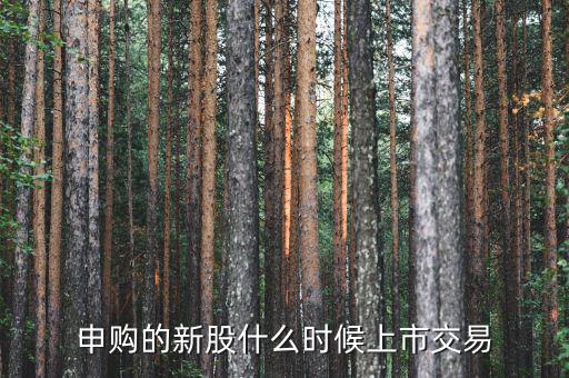 一般新股價(jià)什么時(shí)候出來(lái)，申購(gòu)的新股什么時(shí)候上市交易