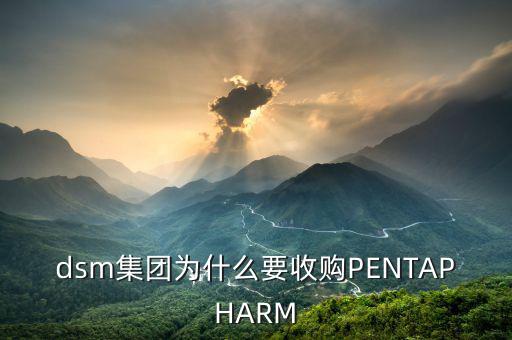 喜游國際被什么公司并購，DSM據(jù)說收購了一個特牛的公司是什么大家有知道的嗎