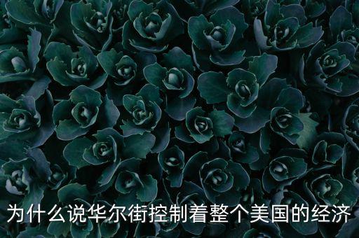 美國(guó)為什么離不開華爾街，為什么說華爾街控制著整個(gè)美國(guó)的經(jīng)濟(jì)