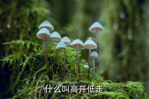 高開(kāi)低走什么意思，低開(kāi)高走什么意思