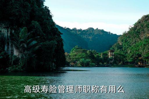 保險高管證有什么用，朋友讓我?guī)退急ｋU高管證說考過了我就是他公司的法人這兩個
