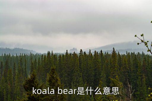 牛壓熊什么意思，tady bear是什么意思
