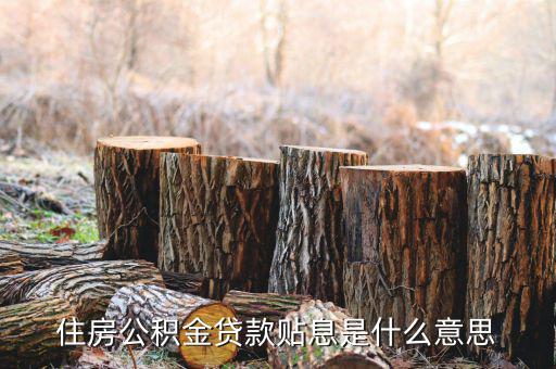 政采貸什么意思，住房公積金貸款貼息是什么意思