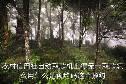 農(nóng)行預(yù)約碼是什么，農(nóng)商銀行預(yù)約取款預(yù)約碼是什么