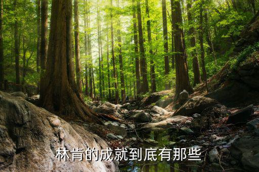 林肯的業(yè)績有什么，華盛頓林肯共同歷史功績